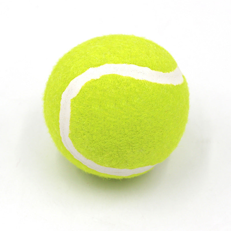A699 - Fetch Tennis Ball
