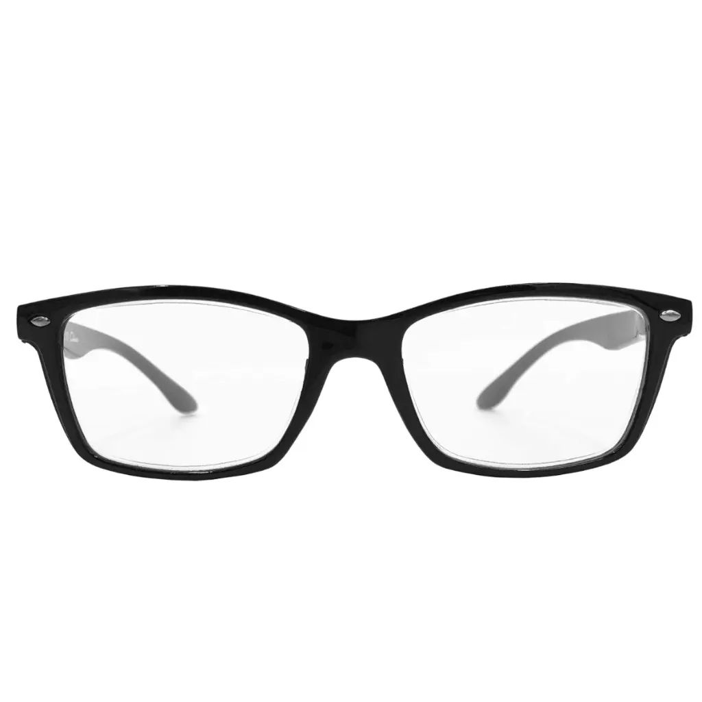 r-100_front.webp