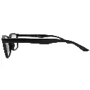 r-100_l_2.webp