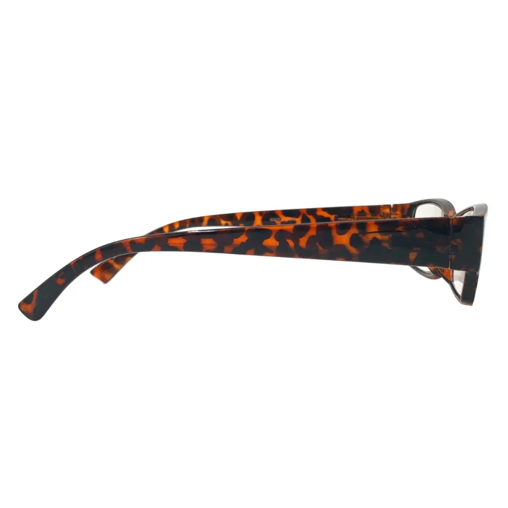 r3025_brown_r.webp