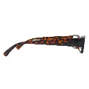 r3025_brown_r.webp