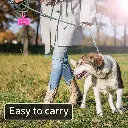 1712816936005-7a2b434dece4473cbf60f652a201e92b-goods.webp