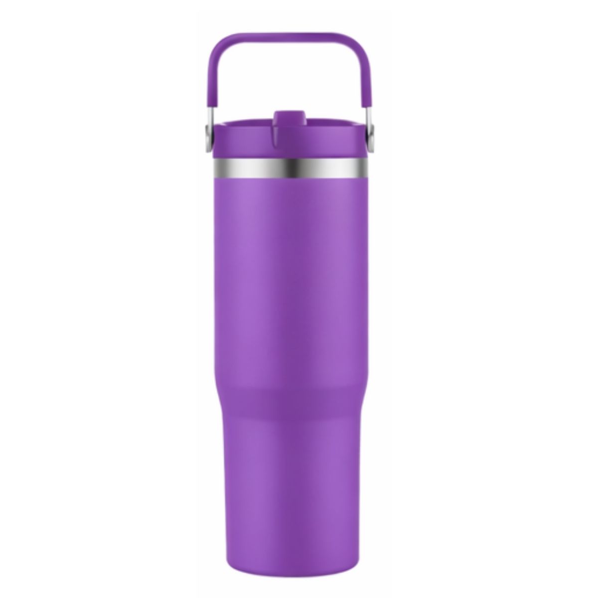 [LS-123AP-Purple] 30oz Double Wall tumbler with carrier. Plastic inner, SS outer with powder coating (Purple)