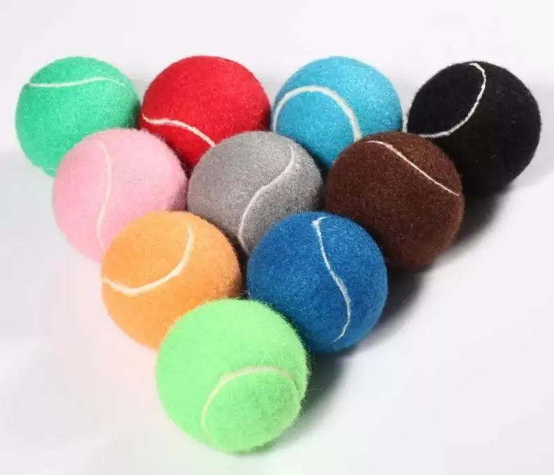 Fetch Tennis Ball