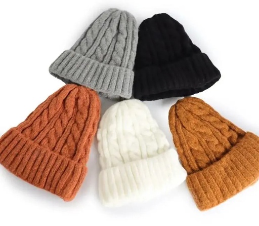[BN-02] Cable Knit Beanie